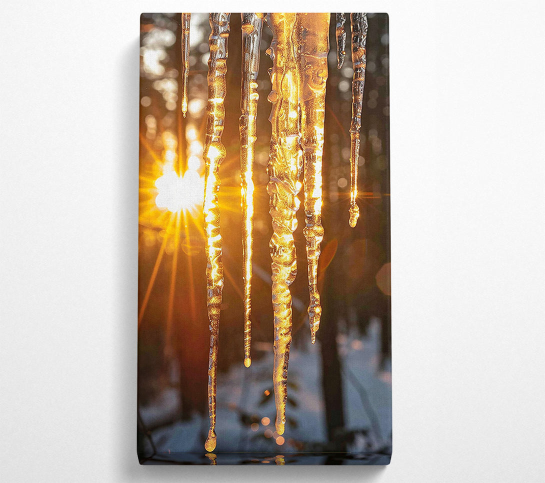  A Canvas Print of Golden Icicles In Sun Canvas Art