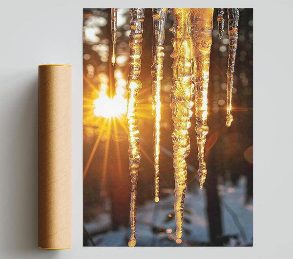 Golden Icicles In Sun Print