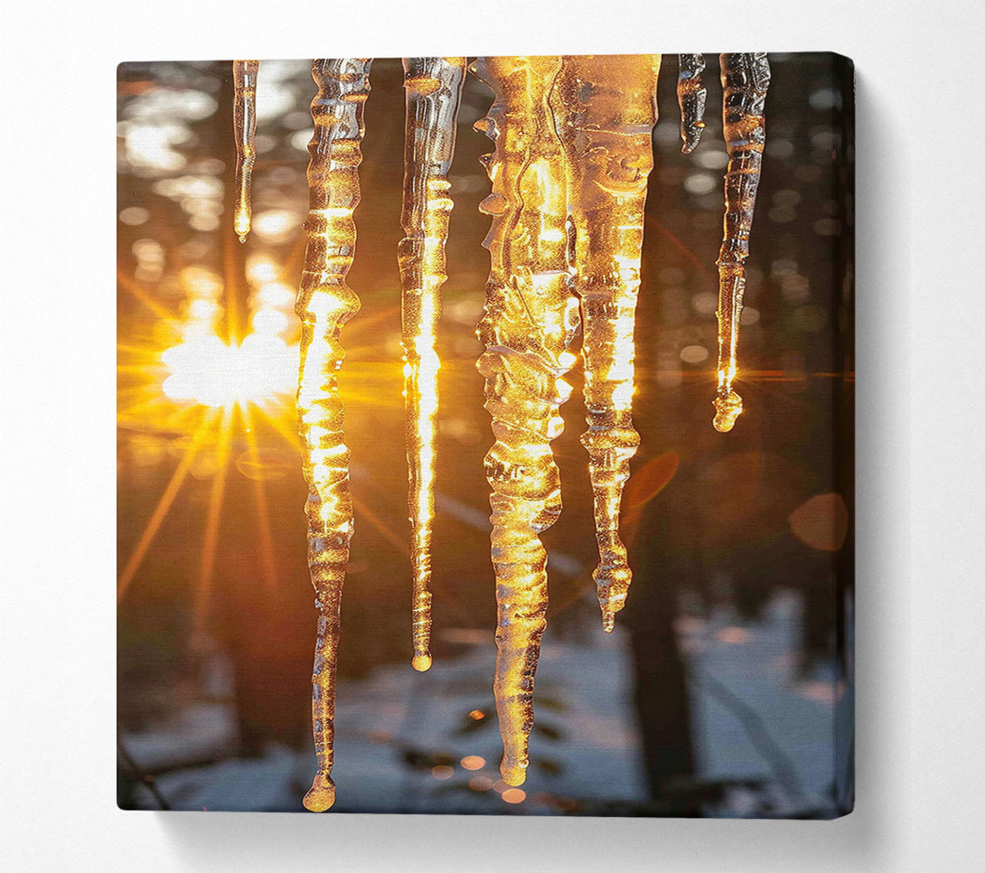  A Canvas Print of Golden Icicles In Sun Canvas Art