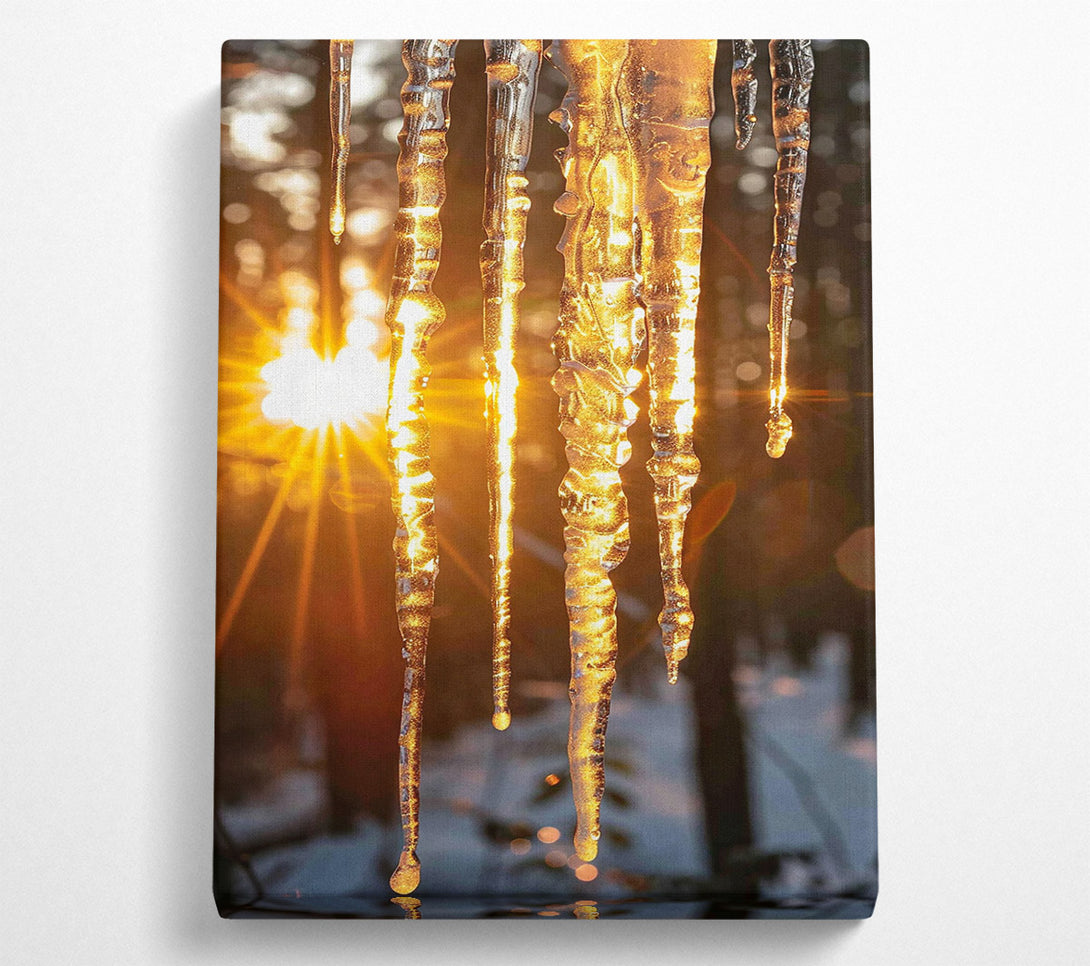  A Canvas Print of Golden Icicles In Sun Canvas Art