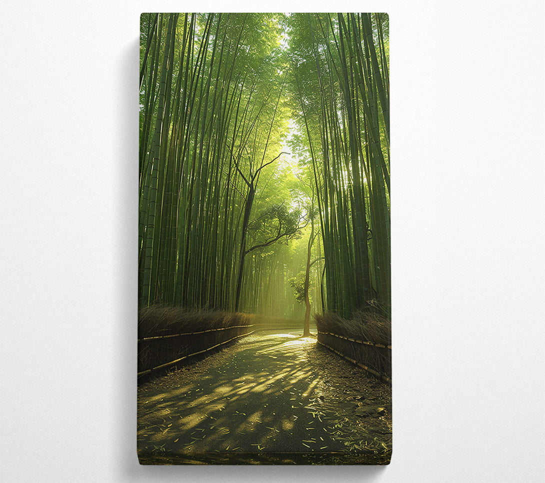  A Canvas Print of Golden Bamboo Path Canvas Wall Art