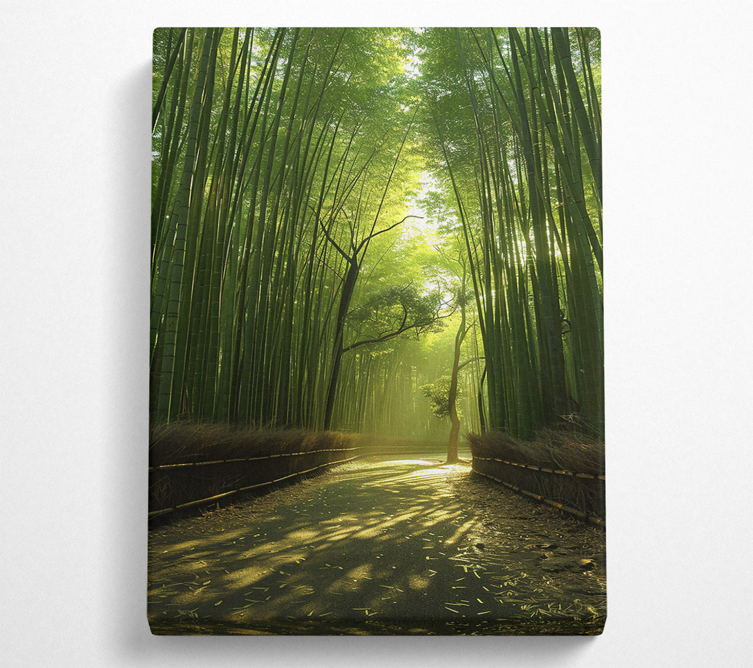  A Canvas Print of Golden Bamboo Path Canvas Wall Art