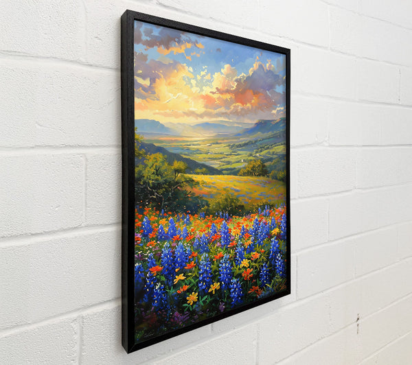 Bluebonnet Valley Sunset