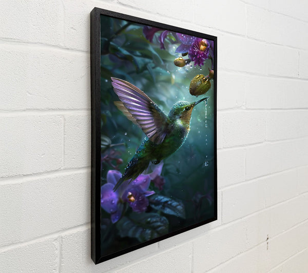 Purple Hummingbird Rain