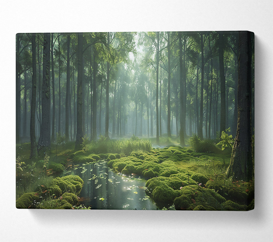  A Canvas Print of Emerald Forest Stream Canvas Art