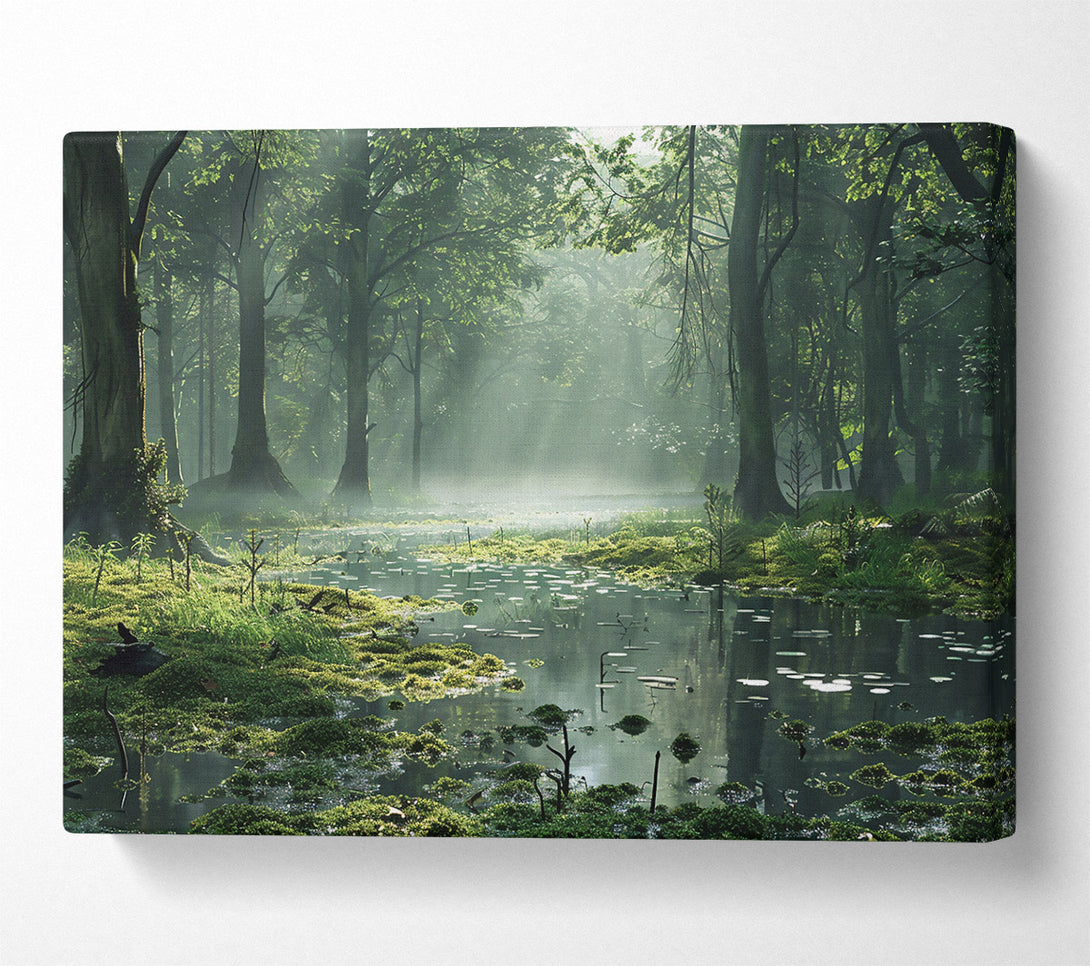  A Canvas Print of Emerald Forest Pond Canvas Wall Art