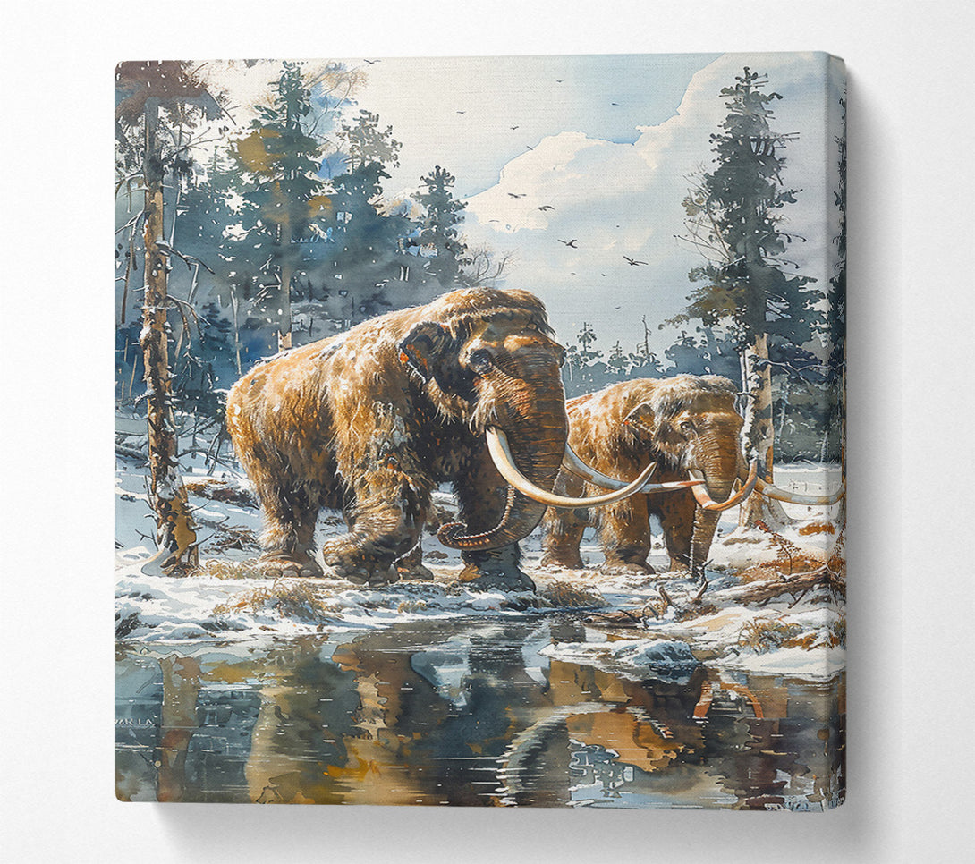  A Canvas Print of Brown Mammoth Reflections Canvas Art