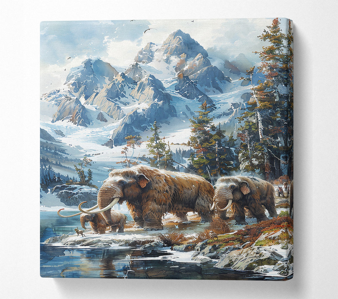  A Canvas Print of White Mountain Mammoths Canvas Wall Art