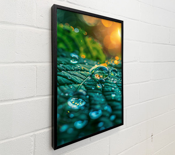 Teal Dewdrop Reflections