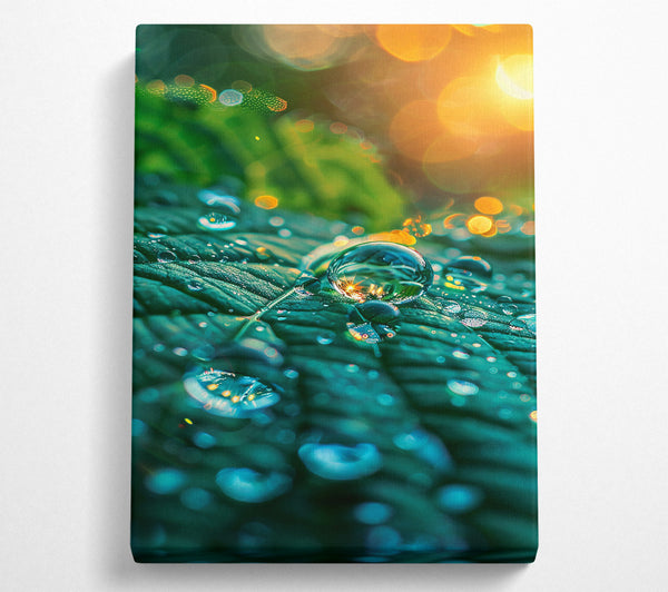  A Canvas Print of Teal Dewdrop Reflections Canvas Print