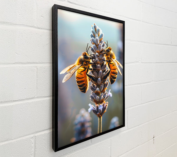 Purple Lavender Bees