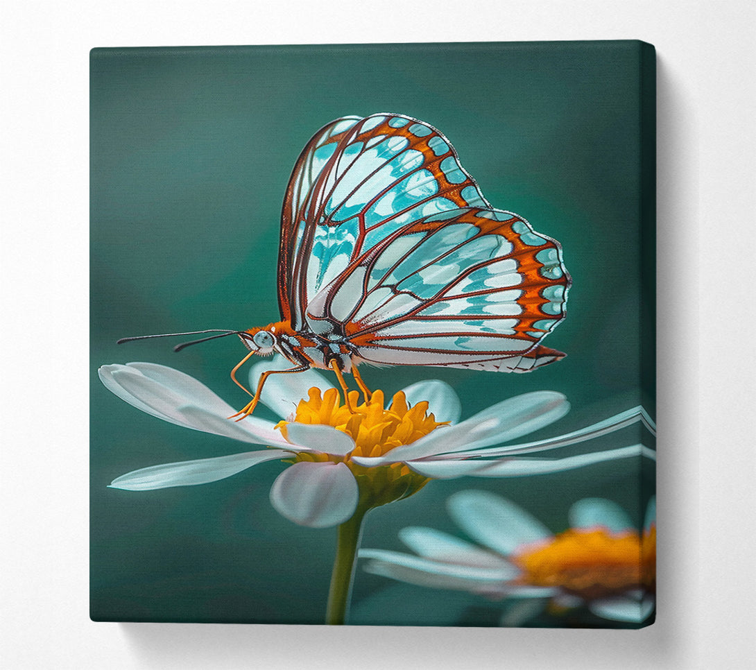  A Canvas Print of Azure Butterfly Bloom Canvas Art