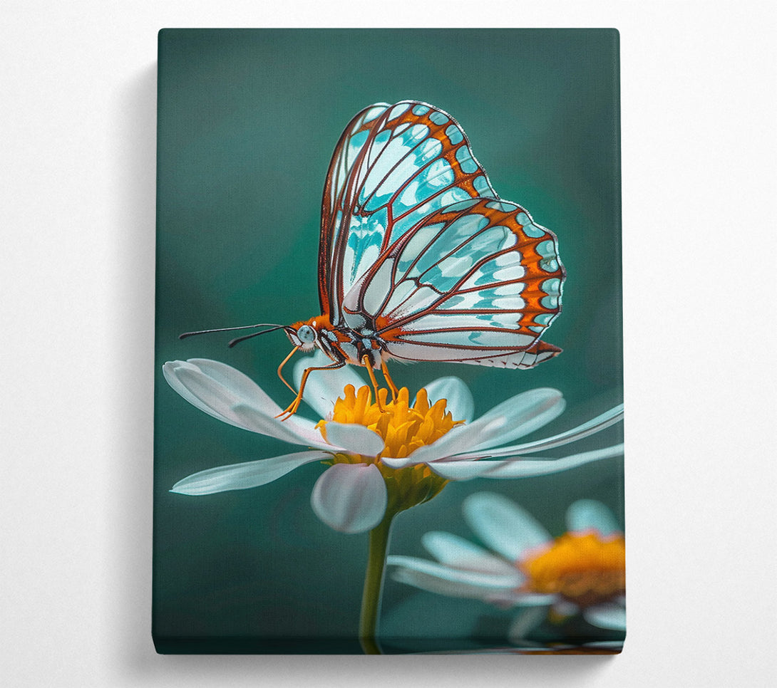  A Canvas Print of Azure Butterfly Bloom Canvas Art