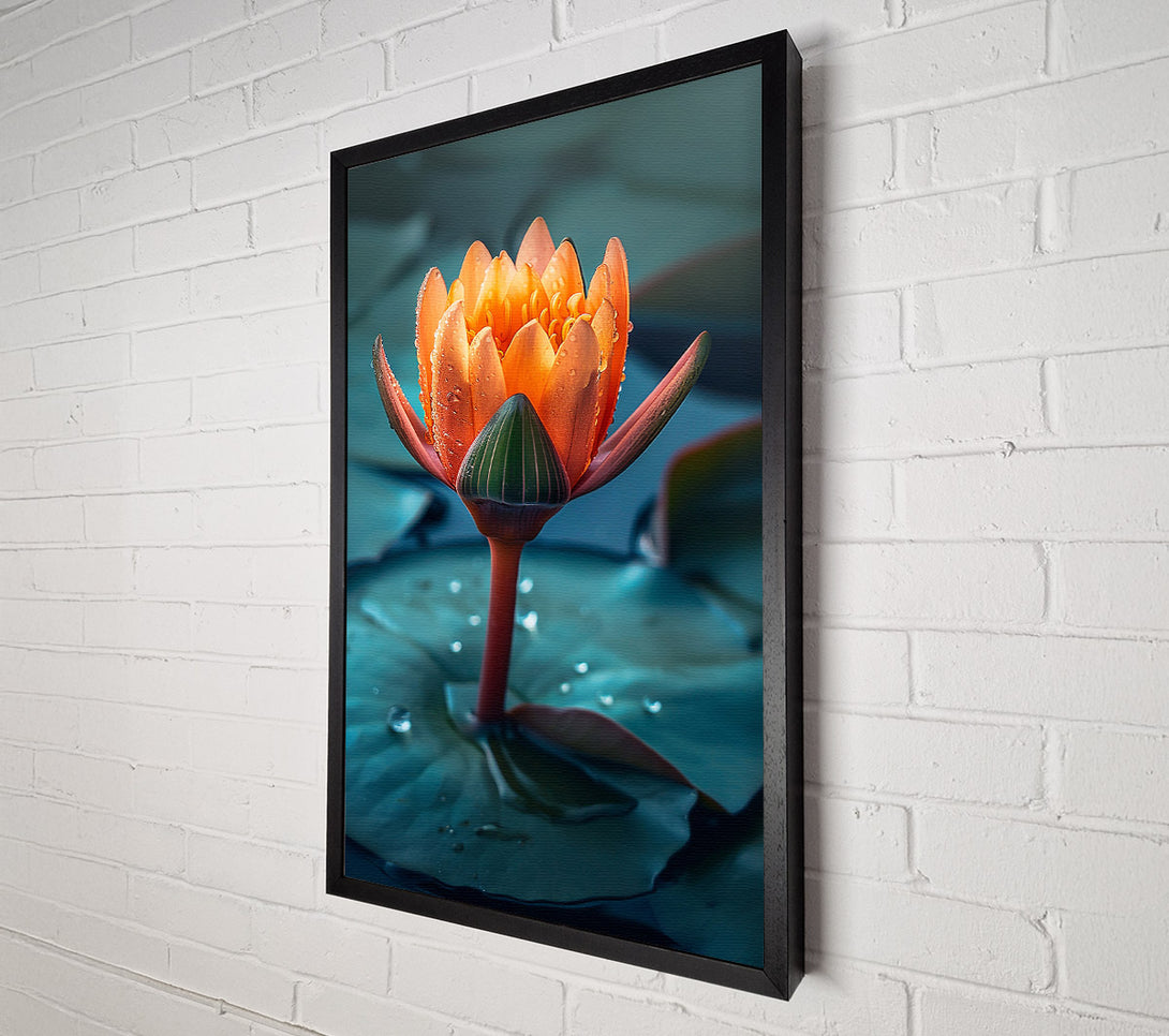  A Canvas Print of Orange Water Lily Bloom Canvas Wall Art