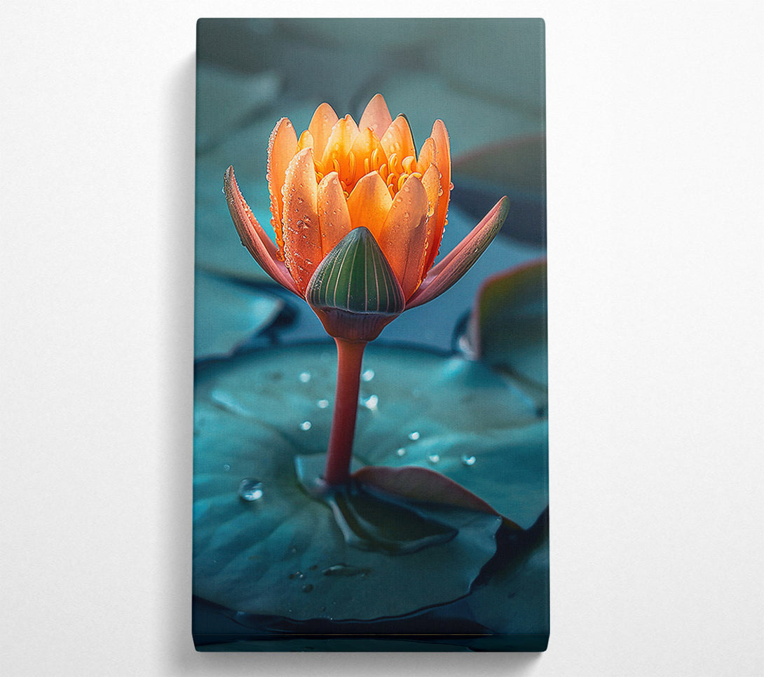 A Canvas Print of Orange Water Lily Bloom Canvas Wall Art