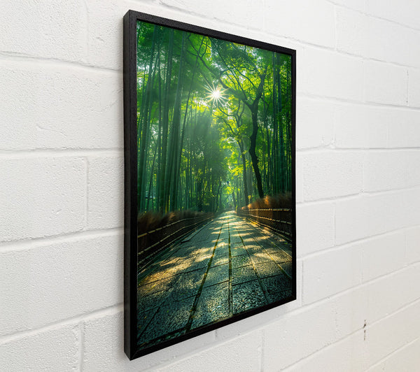 Green Path To Sunlight
