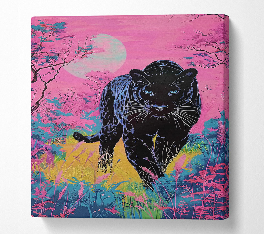  A Canvas Print of Pink Panther'S Gaze. Canvas Art