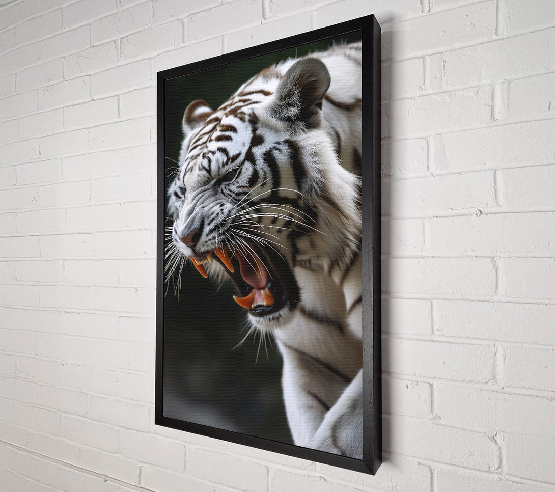  A Canvas Print of White Tiger'S Roar Canvas Print