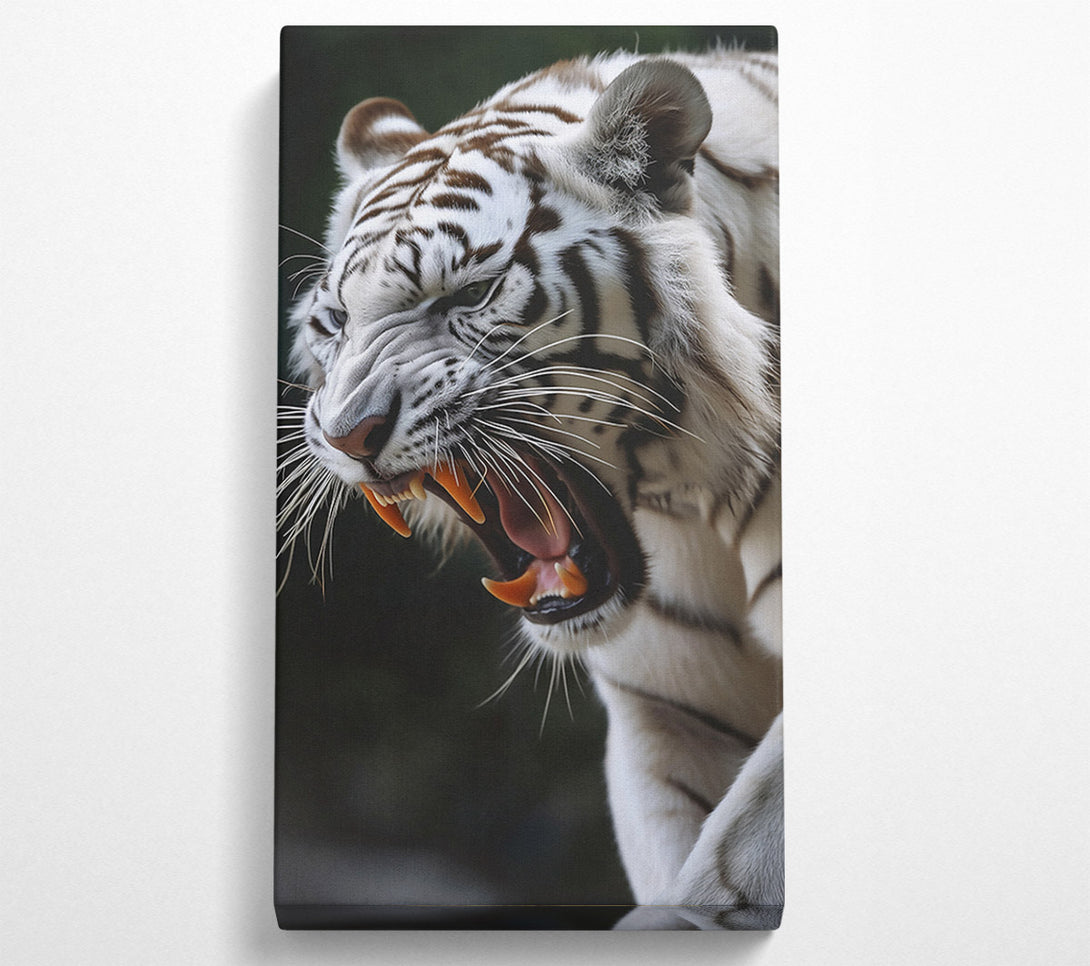  A Canvas Print of White Tiger'S Roar Canvas Print