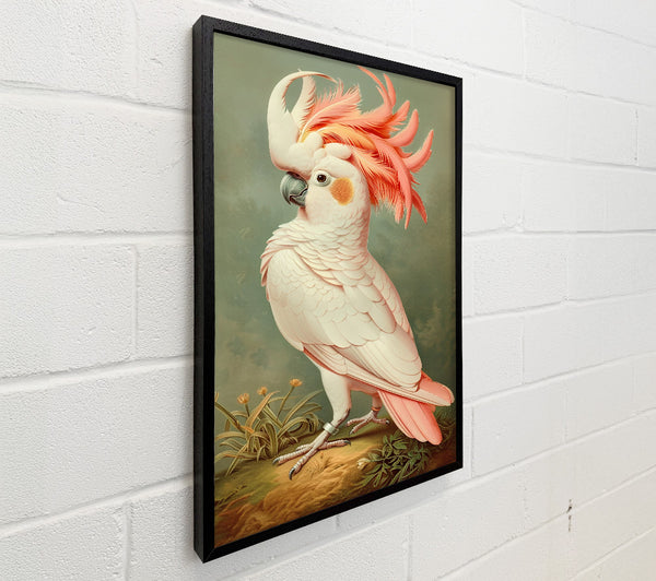 Pink Feathered Majesty