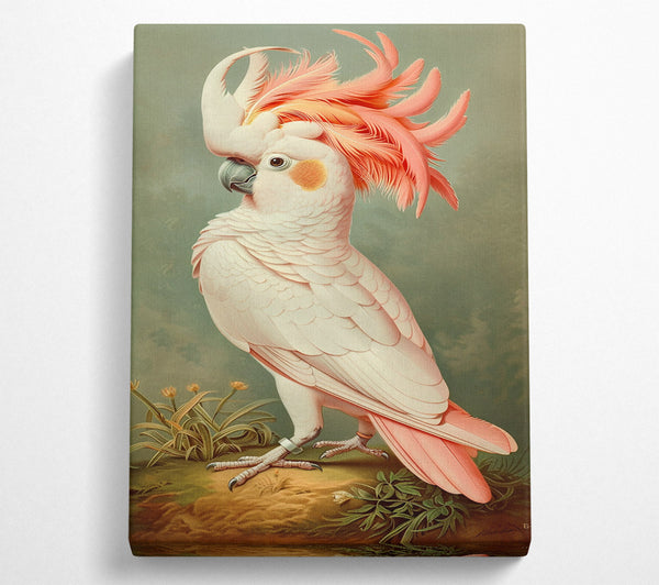  A Canvas Print of Pink Feathered Majesty Canvas Art