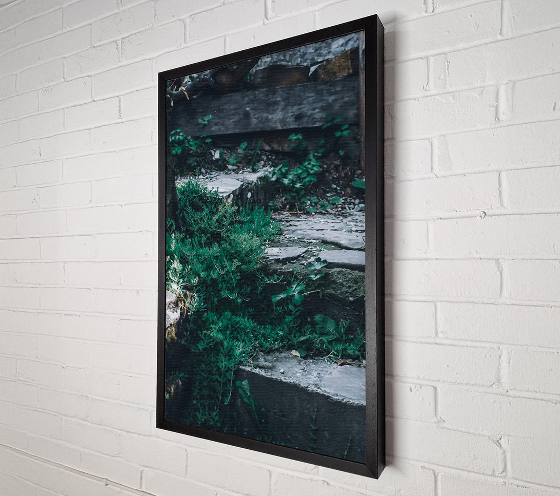  A Canvas Print of Emerald Stone Steps Canvas Art