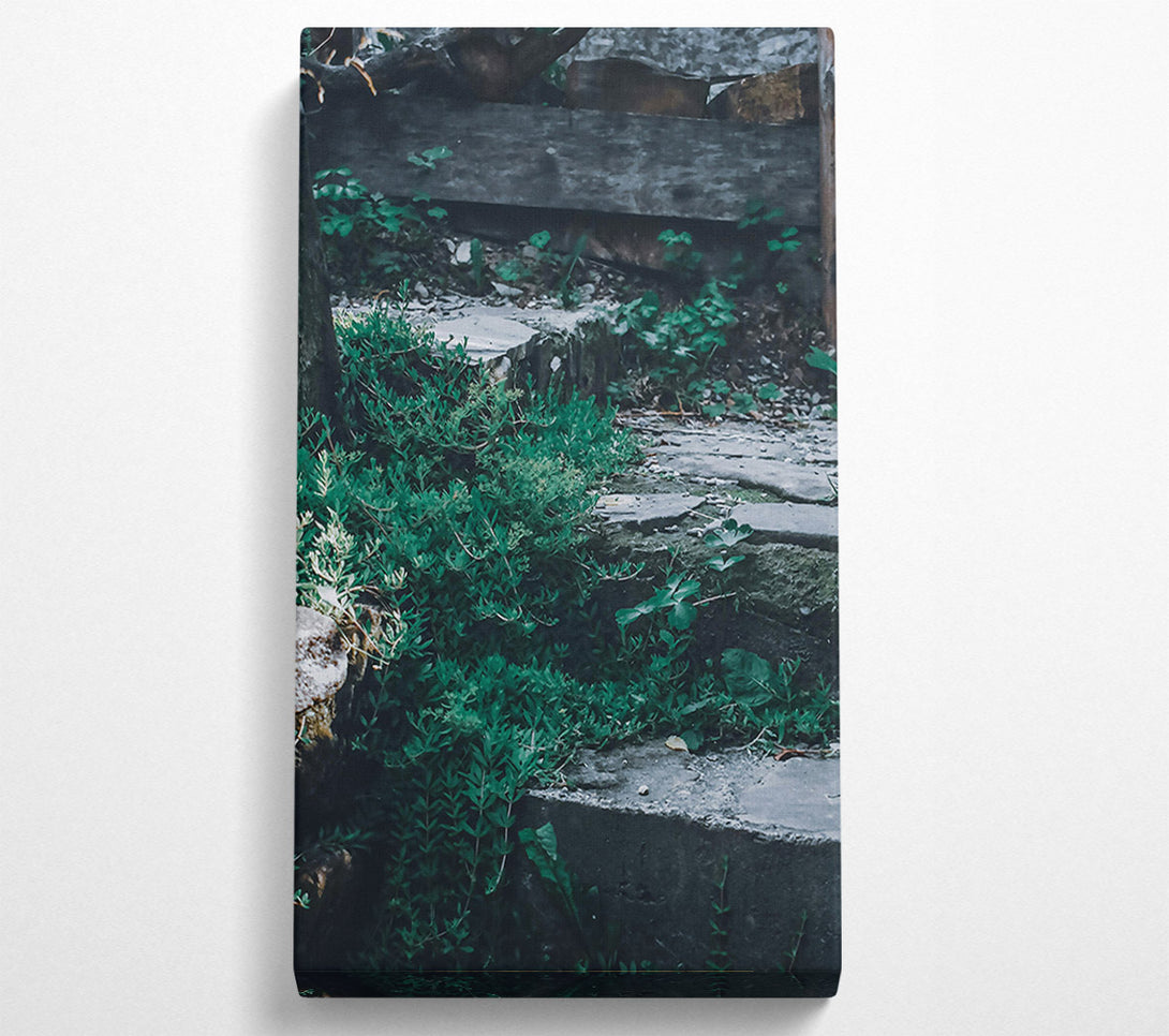  A Canvas Print of Emerald Stone Steps Canvas Art