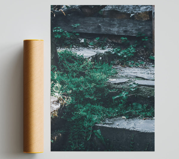Emerald Stone Steps Print