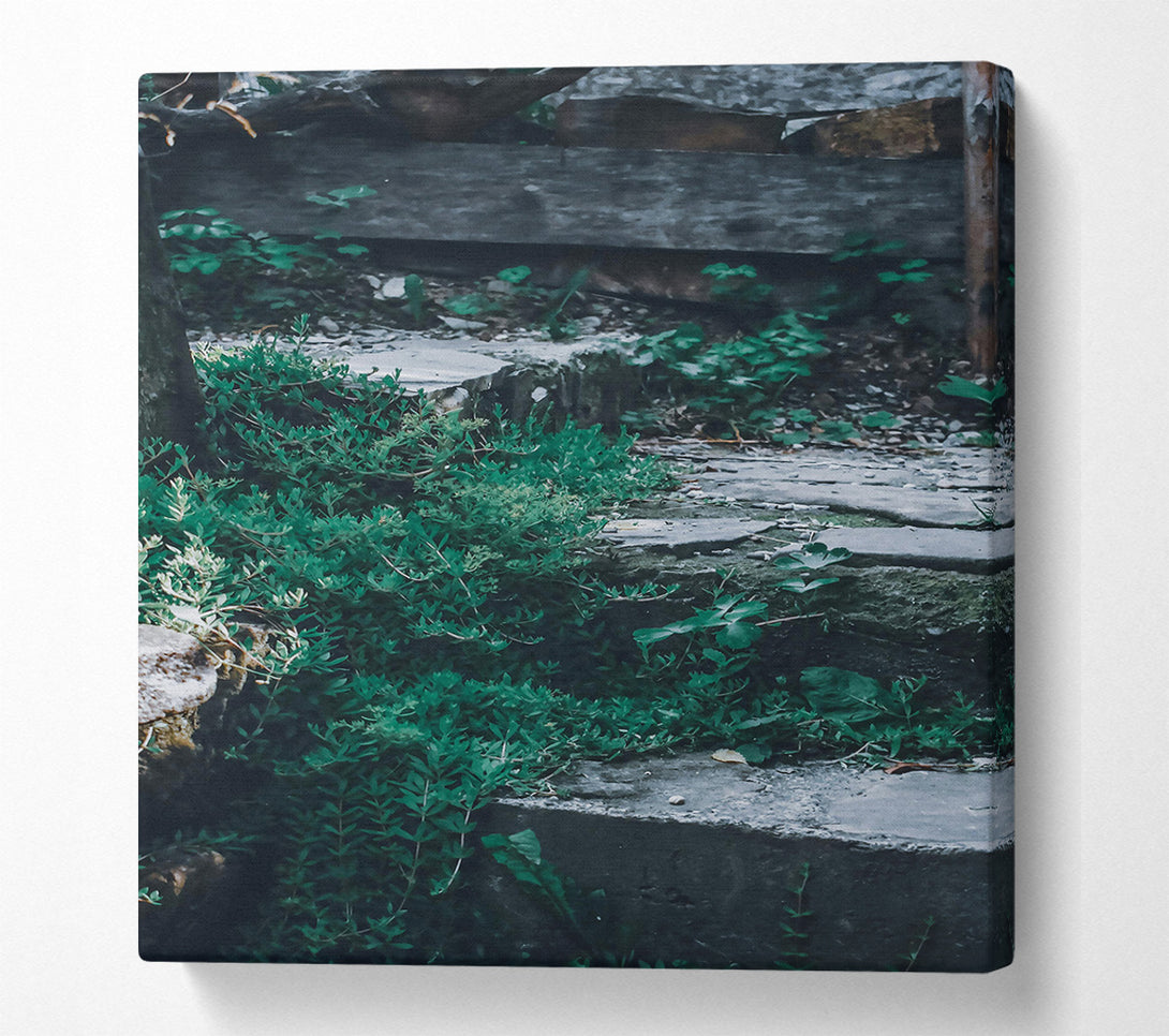  A Canvas Print of Emerald Stone Steps Canvas Art