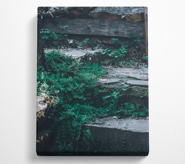  A Canvas Print of Emerald Stone Steps Canvas Art