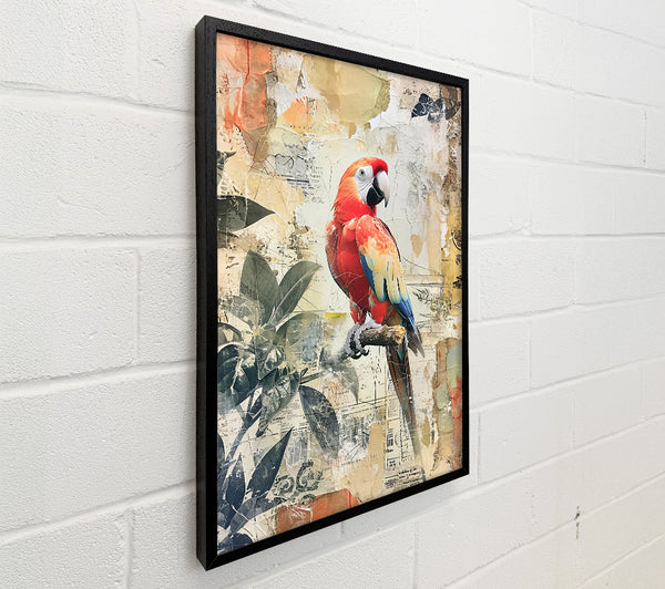 Red Parrot Collage