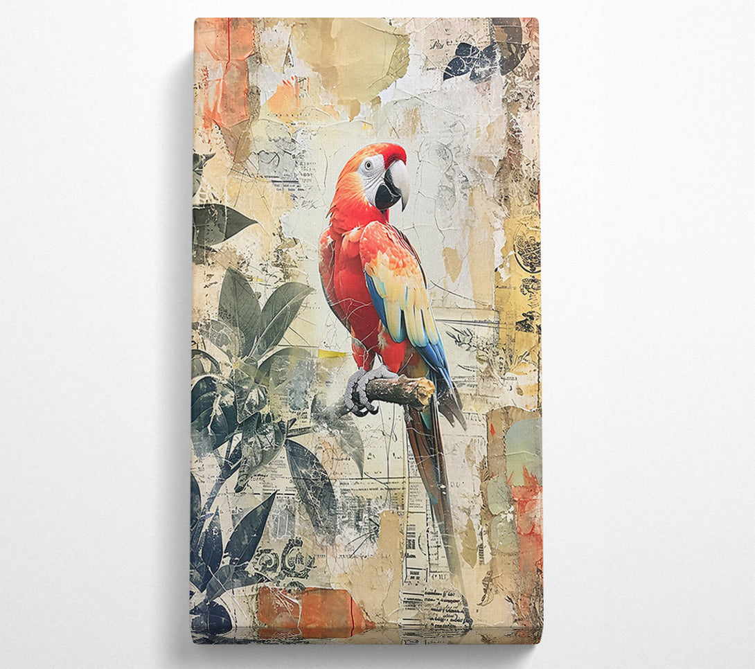  A Canvas Print of Red Parrot Collage Canvas Print