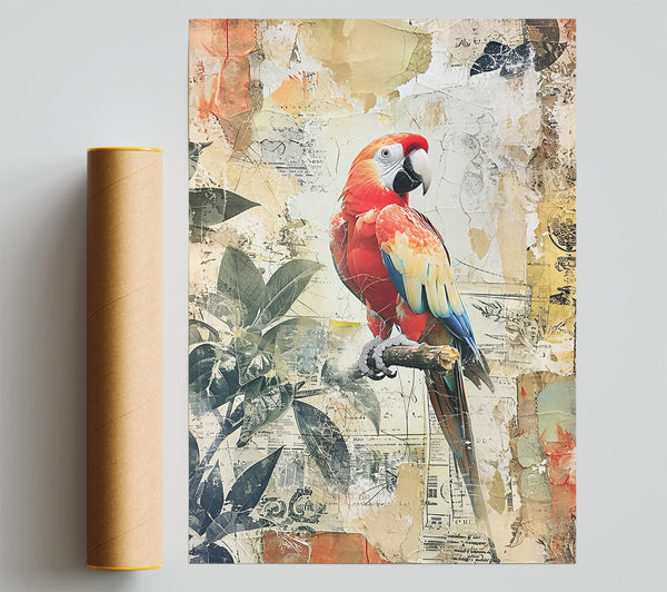Red Parrot Collage Print