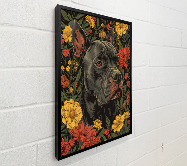 Black Dog Blooms