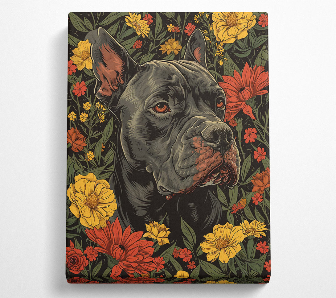  A Canvas Print of Black Dog Blooms Canvas Wall Art