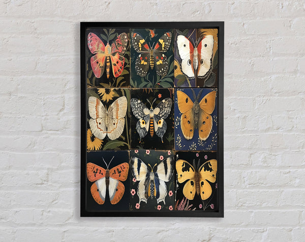 Grid Of Butterflies Framed Print