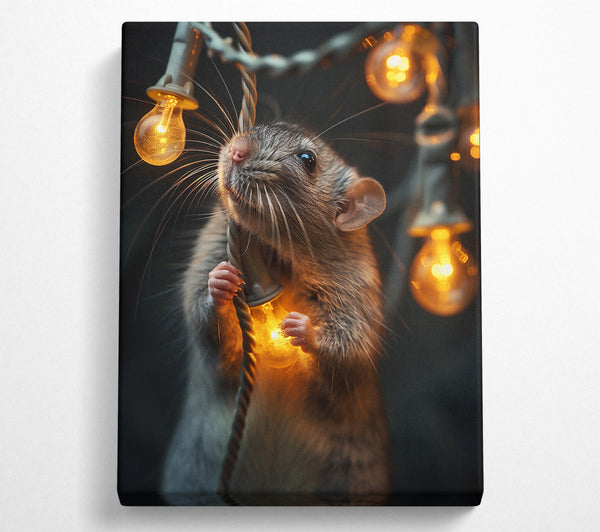 A Canvas Print of Golden Light Rat Canvas Print