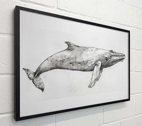 Gray Whale In Motion