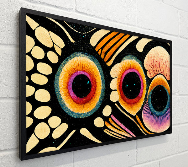 Orange Butterfly Eye