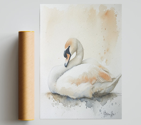 Peachy Swan Slumber Giclee Print