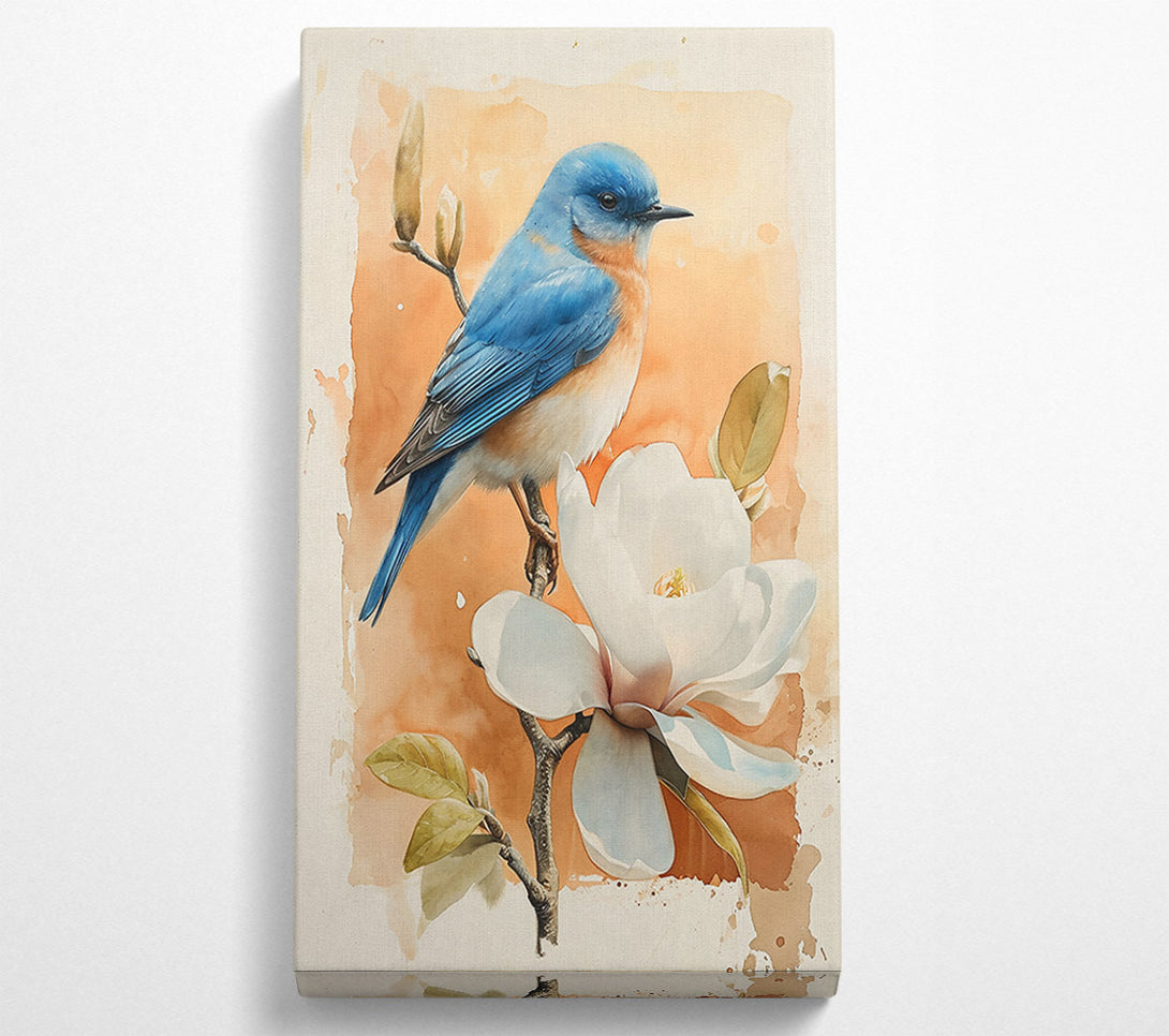  A Canvas Print of Orange Bloom Bluebird Canvas Art