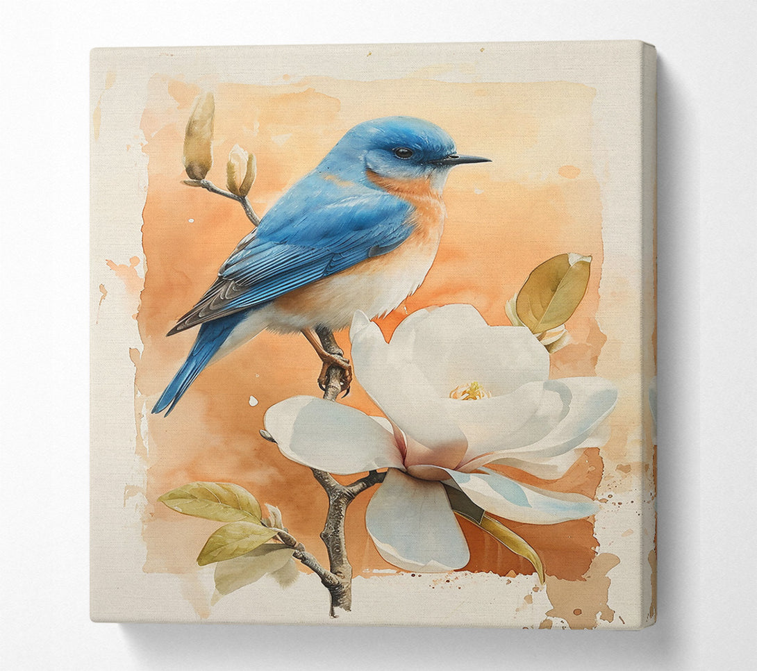  A Canvas Print of Orange Bloom Bluebird Canvas Art