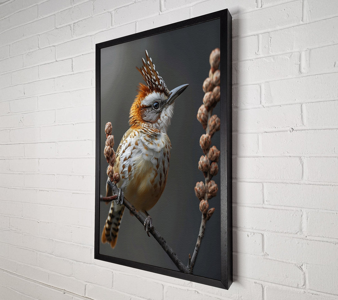  A Canvas Print of Russet Crowned Perched Canvas Print