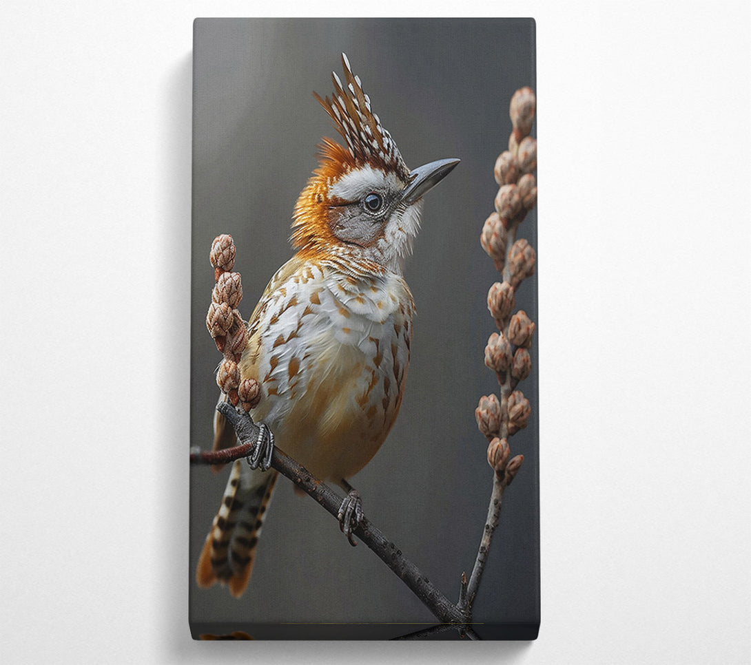  A Canvas Print of Russet Crowned Perched Canvas Print