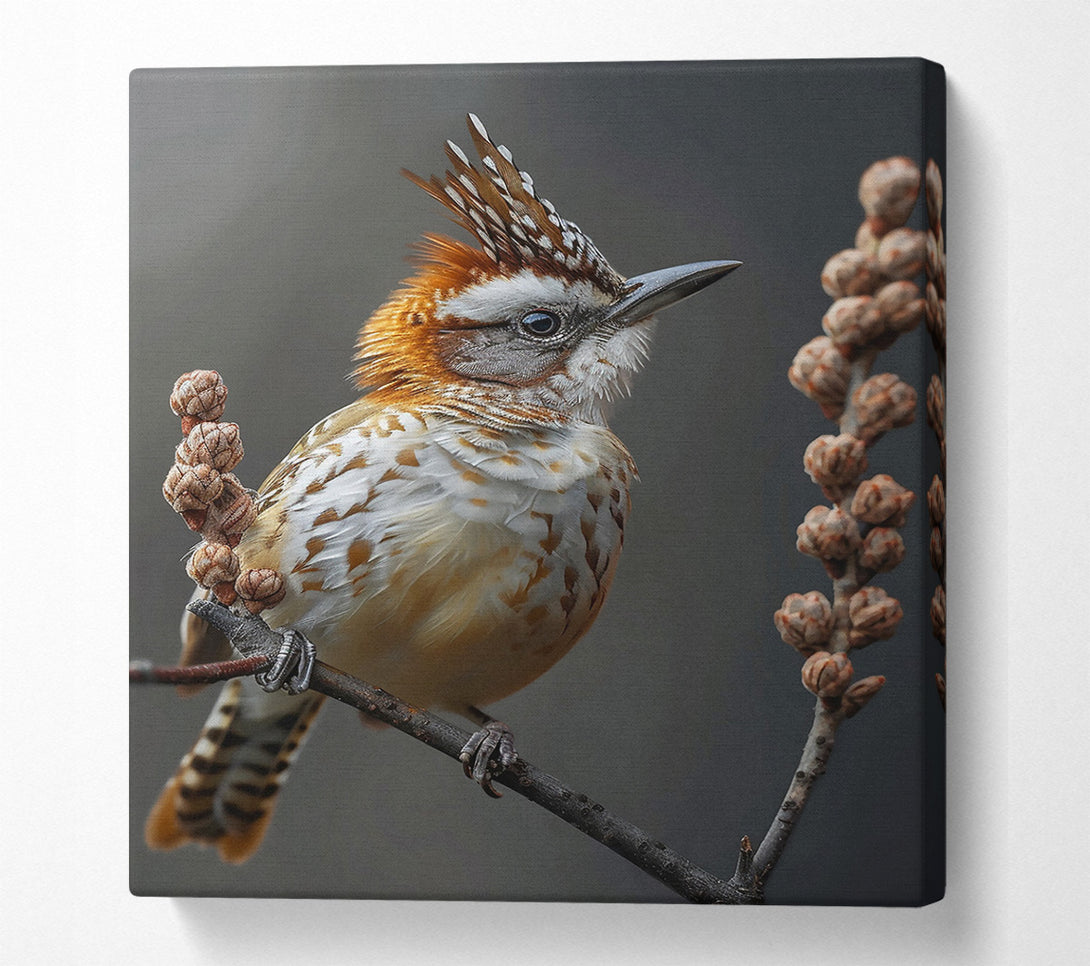  A Canvas Print of Russet Crowned Perched Canvas Print