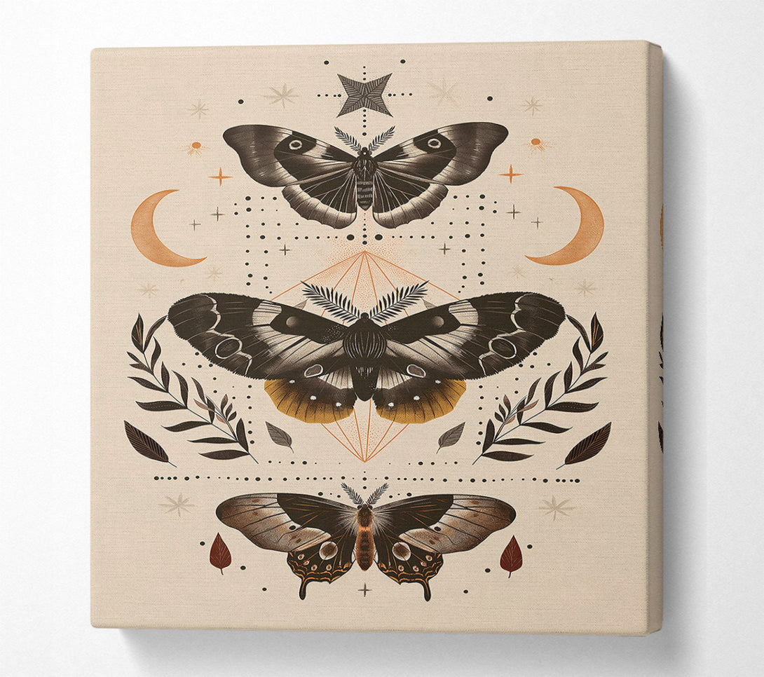  A Canvas Print of Golden Moth Mandala Canvas Art