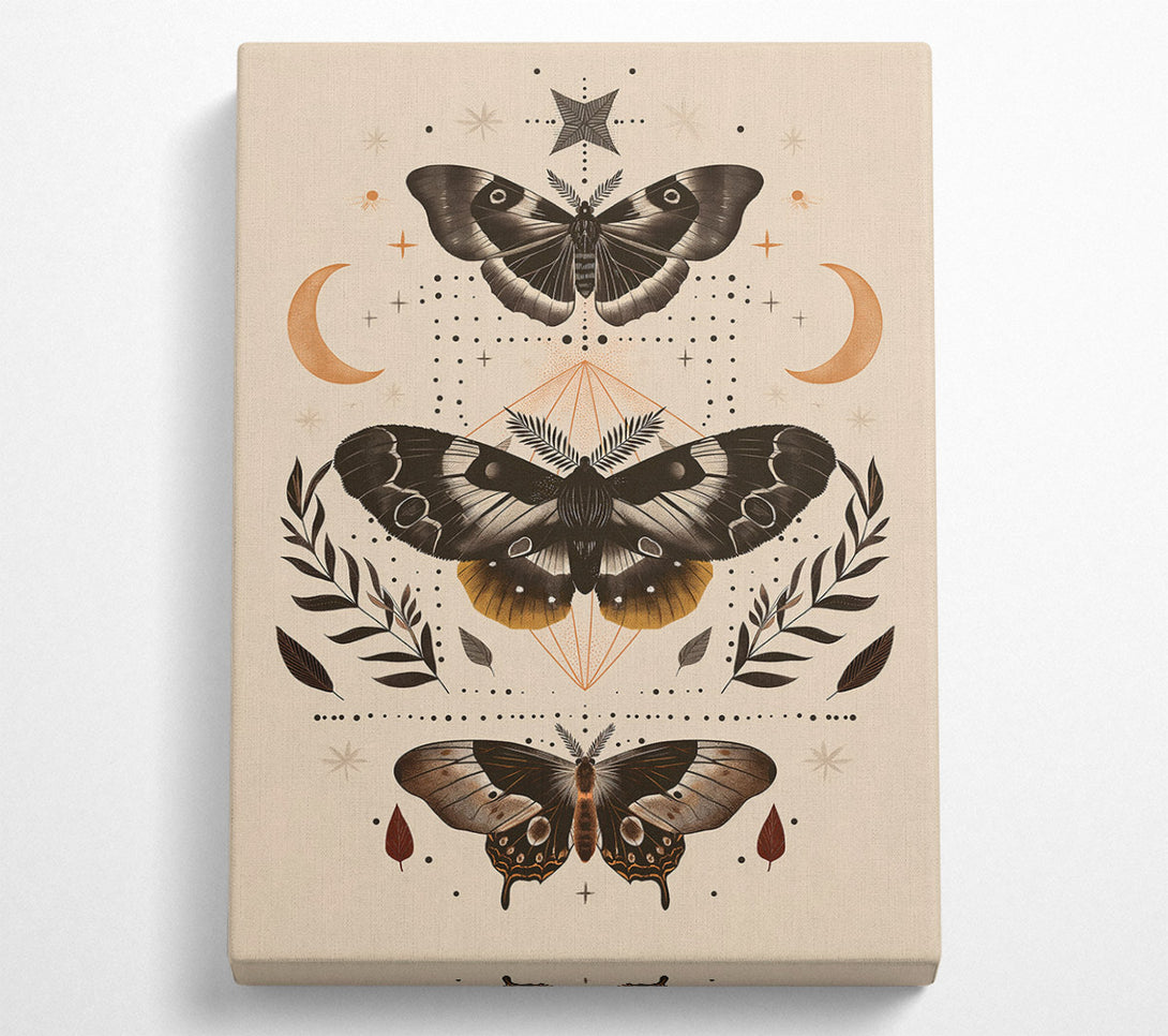  A Canvas Print of Golden Moth Mandala Canvas Art