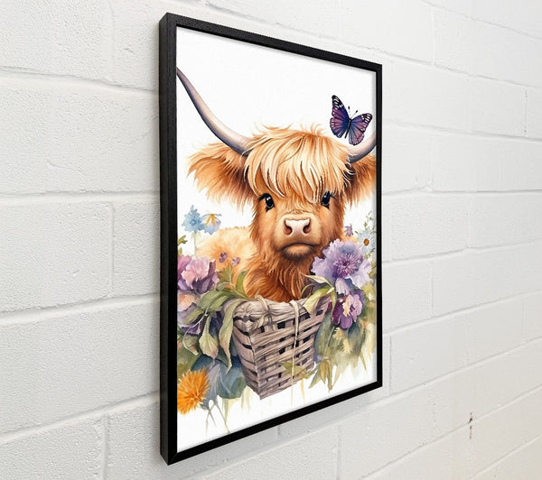 Highland Baby Cow