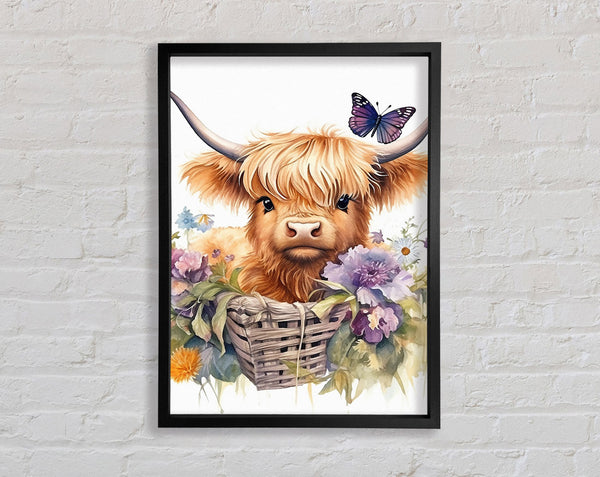 Highland Baby Cow