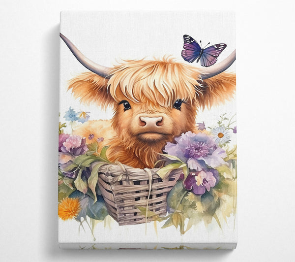  A Canvas Print of Highland Baby Cow Canvas Print